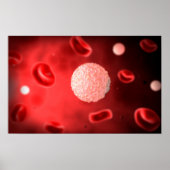 Microscopisch Uitzicht van witte bloedcellen Poster (Voorkant)