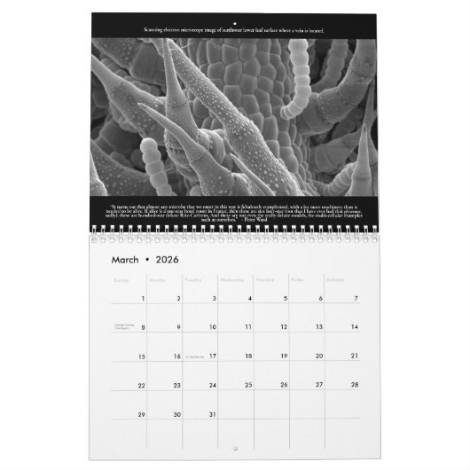 Microscopisch World Calendar Kalender (Mar 2026)