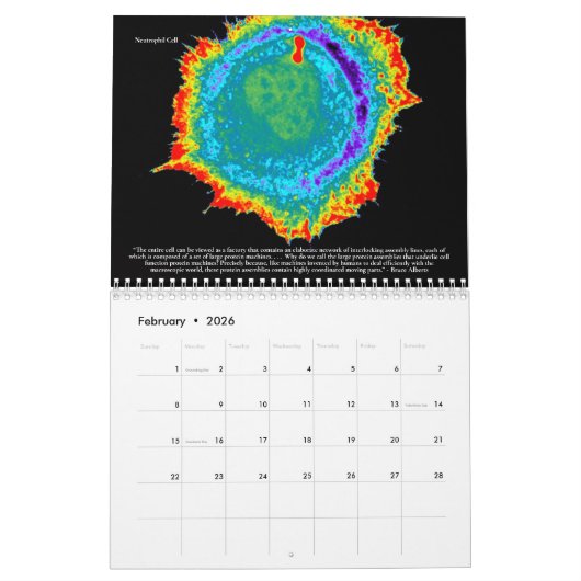 Microscopisch World Calendar Kalender (Feb 2026)