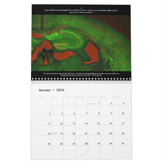 Microscopisch World Calendar Kalender (Jan 2026)