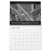Microscopisch World Calendar Kalender (Mar 2027)