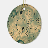 Microscopische microben keramisch ornament (Links)