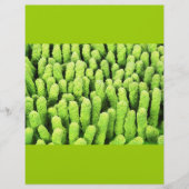 Microvezeldoek Flyer (Voorkant)