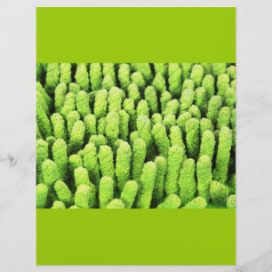 Microvezeldoek Flyer