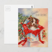  Mid Century Beauful Baby Boston Terrier Briefkaart (Voorkant / Achterkant)