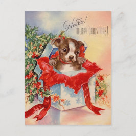Mid Century Beauful Baby Boston Terrier Briefkaart