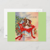  Mid Century Beauful Baby Boston Terrier Briefkaart (Voorkant / Achterkant)