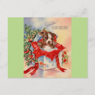  Mid Century Beauful Baby Boston Terrier Briefkaart