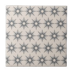Mid-Century Modern Silver Starburst Pattern Cerami Tegeltje<br><div class="desc">Het moderne, geïnspireerde design uit de midden-eeuw met een patroon van retro zilveren sterrenburen. Eenvoudig, schoon modern design. Eén ontwerp van een coördinerend collectie. Creëer uw eigen douanepatroon door een nieuw afbeelding te uploaden, of gebruik de "bericht"knoop om de ontwerper voor hulp te contacteren. Om uw eigen gepatenteerde ontwerp te...</div>