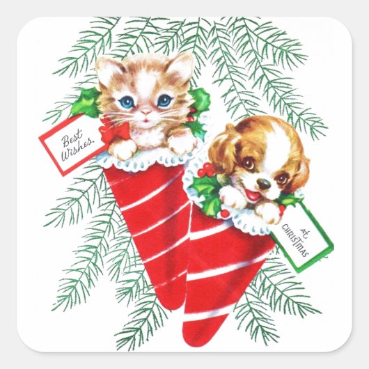  Mid Century Mooie Baby Puppy Kitten Vierkante Sticker (Voorkant)