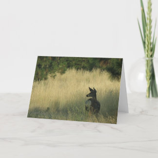 Middag Mulie, Wenskaart door Teken Easton Kaart