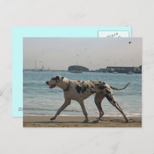 middag Stroll III Briefkaart (Voorkant / Achterkant)