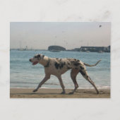 middag Stroll III Briefkaart (Voorkant)