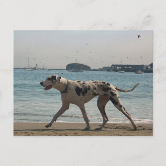 middag Stroll III Briefkaart (Voorkant)