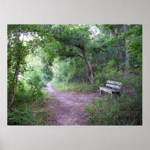 Middagmiddag in het bos poster