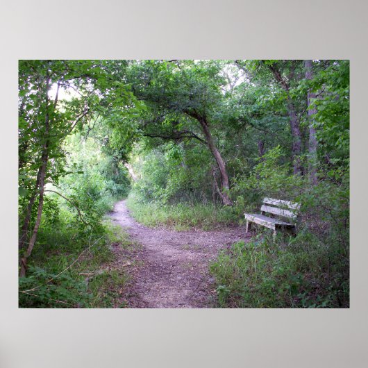 Middagmiddag in het bos poster (Voorkant)