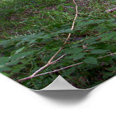 Middagmiddag in het bos poster (Hoek)