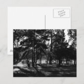 Middagmiddag in het park briefkaart (Voorkant / Achterkant)