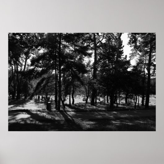 Middagmiddag in het park poster (Voorkant)