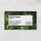 Middel label - Wilde knoflook (Achterkant)