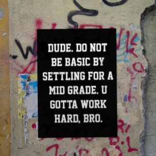 Middelbare School Classroom Decor Slang Class Poster