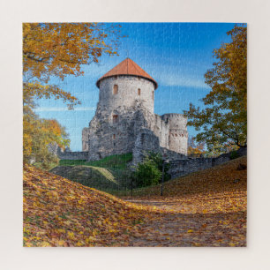 Middeleeuws kasteel omgeven door bos legpuzzel