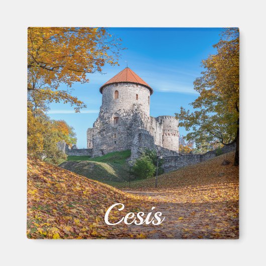 Middeleeuws kasteel omgeven door bos magneet (Voorkant)