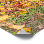 Middeleeuws kasteel omgeven door bos poster (Hoek)