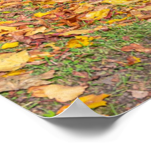 Middeleeuws kasteel omgeven door bos poster (Hoek)