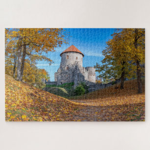 Middeleeuws kasteel omringd door bos legpuzzel