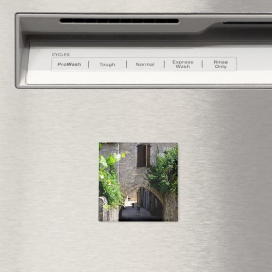 Middeleeuws, magneet (Insitu (Vaatwasser))