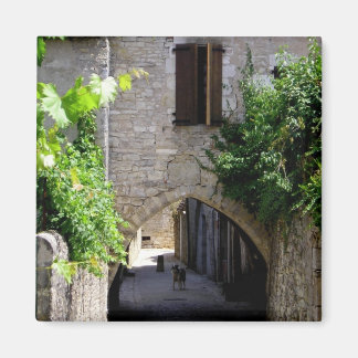 Middeleeuws, magneet