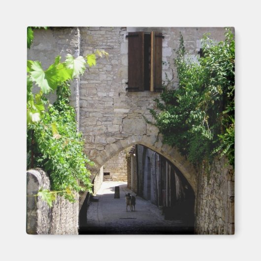 Middeleeuws, magneet (Voorkant)