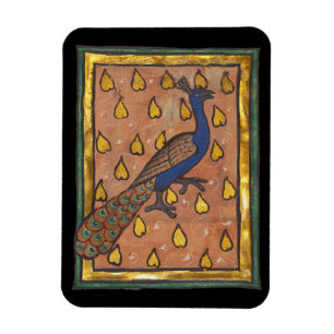 Middeleeuwse Bestiarium Pauw c. 1270 Magneet