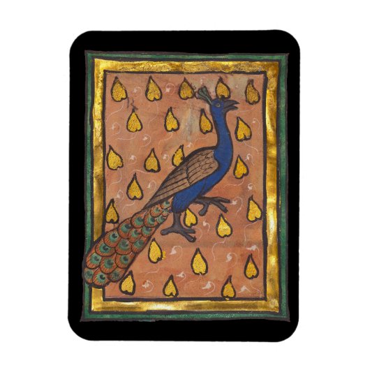 Middeleeuwse Bestiarium Pauw c. 1270 Magneet (Verticaal)