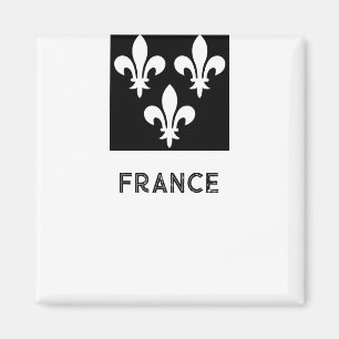 Middeleeuwse Franse Heraldische Prent Monochrome K Magneet