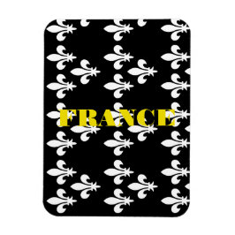 Middeleeuwse Franse Heraldische Prent Monochrome K Magneet