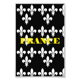 Middeleeuwse Franse Heraldische Print Monochrome K Foto Afdruk