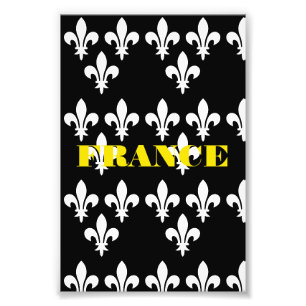 Middeleeuwse Franse Heraldische Print Monochrome K Foto Afdruk