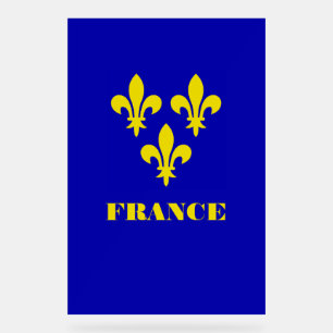 Middeleeuwse Franse Koninklijke Standaard Getrouwh Acryl Bord