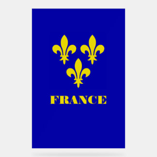Middeleeuwse Franse Koninklijke Standaard Getrouwh Acryl Bord