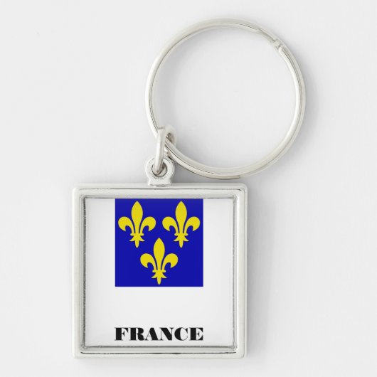 Middeleeuwse Franse Koninklijke Standaard Getrouwh Sleutelhanger (Voorkant)