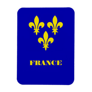 Middeleeuwse Franse Koninklijke Standaard Heraldis Magneet