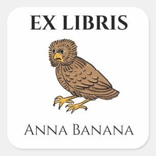 Middeleeuwse Geprikkelde Uil Vogel Ex-Libris Vierkante Sticker