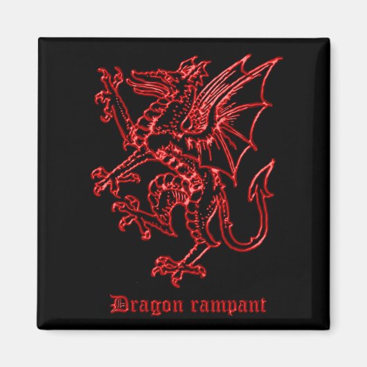 middeleeuwse heraldiek draak magneet (Voorkant)