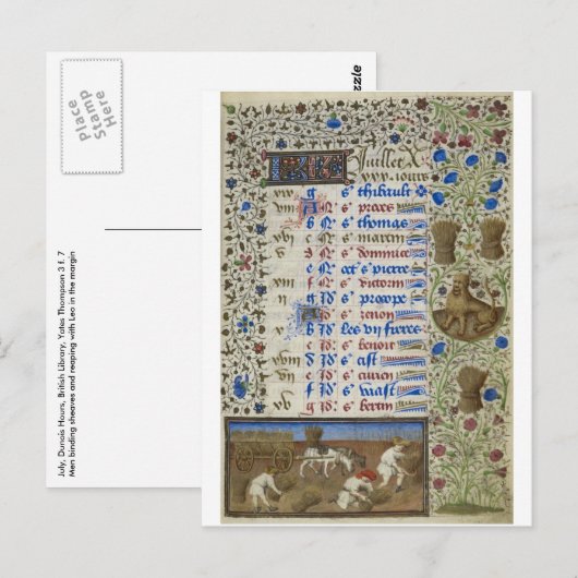 Middeleeuwse kalender: Juli Briefkaart (Voorkant / Achterkant)