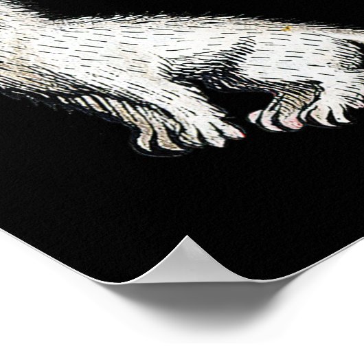 Middeleeuwse Kattenkoning Antiek Middeleeuwen Duit Poster (Hoek)