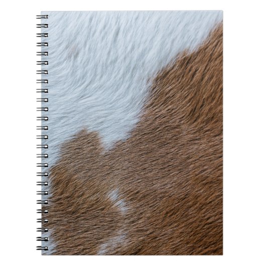 Middeleeuwse Notitieboek (Voorkant)