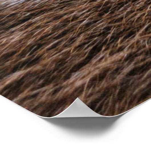 Middeleeuwse Poster (Hoek)