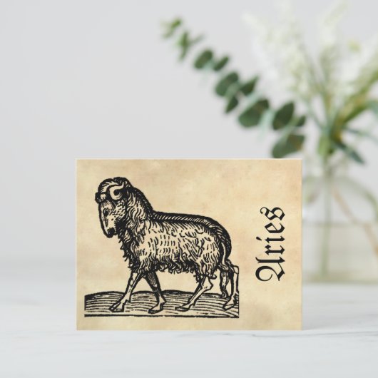 Middeleeuwse renaissance Zodiac Symbool Ram Briefkaart (Staand voorkant)